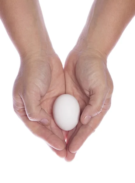 stock image Females hand holding egg