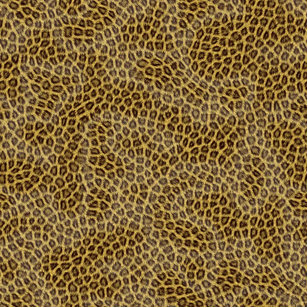 stock image Leopard fur