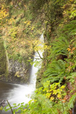 Portland Multnomah Falls