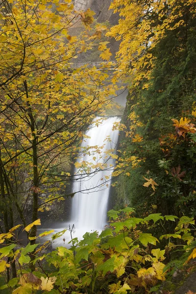 stock image Portland Multnomah Falls