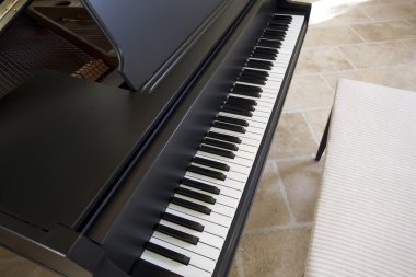 siyah kuyruklu piyano