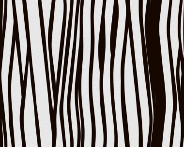 zebra kürkü