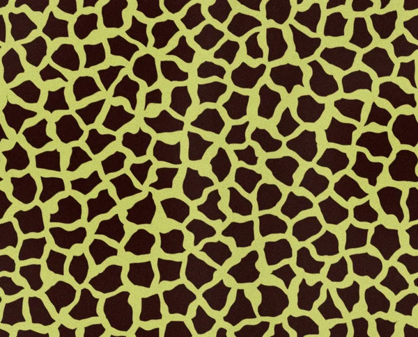 Giraffe fur — Stock Photo, Image