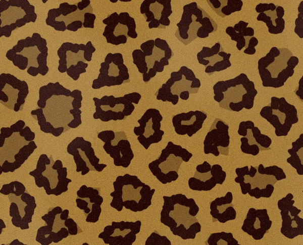 Leopard fur — Stock Photo, Image