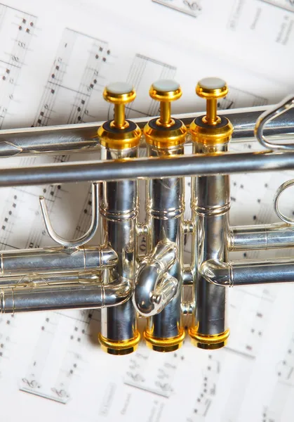 Del av trumpet — Stockfoto
