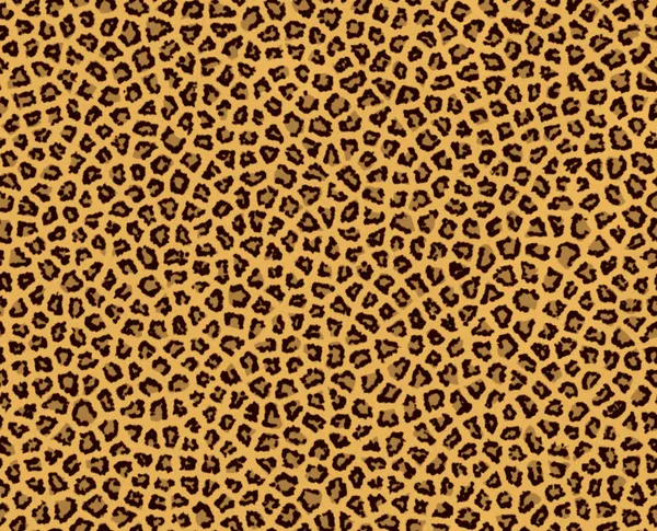 Leopard päls Stockfoto