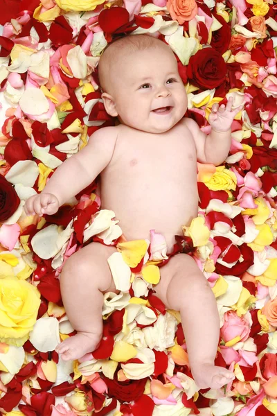 Kleiner süßer Junge in Rosenblättern — Stockfoto