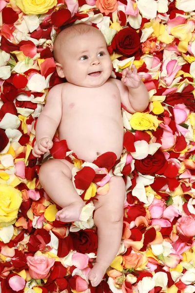 Kleiner süßer Junge in Rosenblättern — Stockfoto