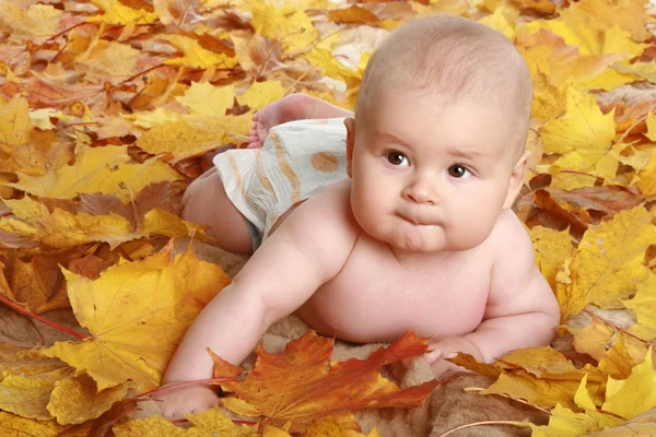 Bel enfant en feuilles d'automne — Photo