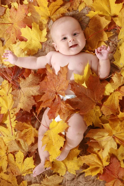 Güzel çocuk sonbahar yaprakları — Stok fotoğraf