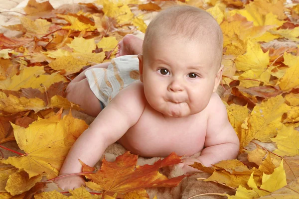 Hermoso niño en hojas de otoño — Foto de Stock