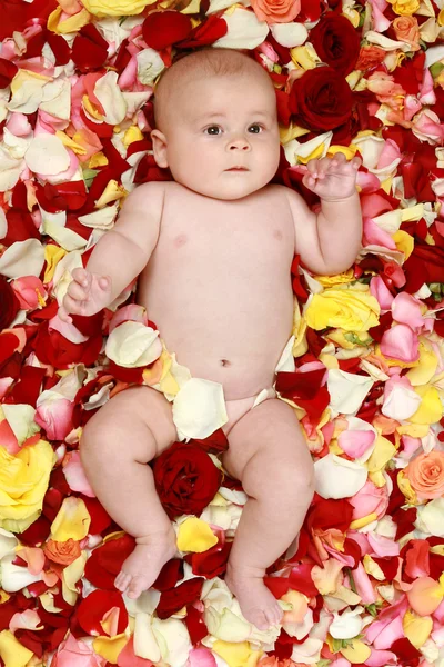 Kleiner Junge in Rosenblättern — Stockfoto