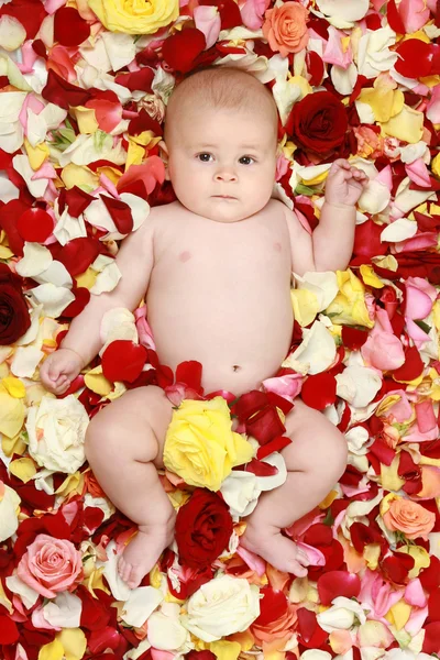 バラの花びらで小さな男の子 — ストック写真