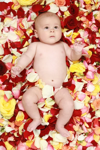Beautiful baby boy in a rose plants — Stock Photo, Image