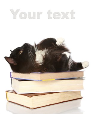 Kara kedi kitaplar üzerinde yer alır.