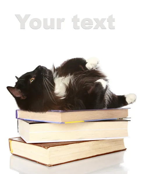 Чорний кіт лежить на книгах — стокове фото