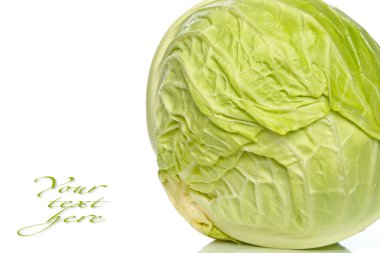 Cabbage clipart