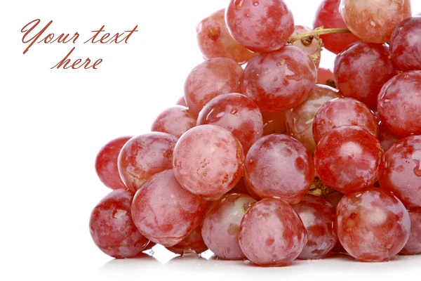 Grapes branch — Stock Photo, Image