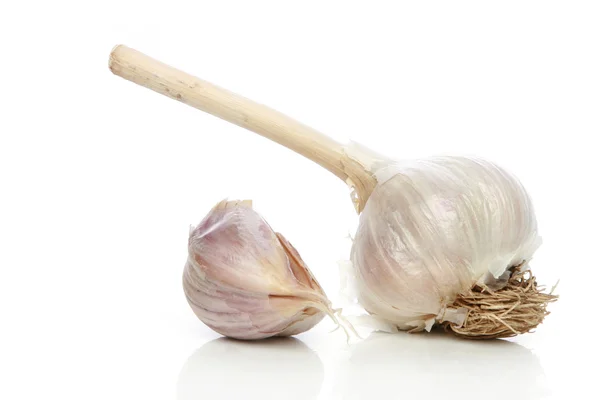 Garlic head detail — Stock Photo, Image
