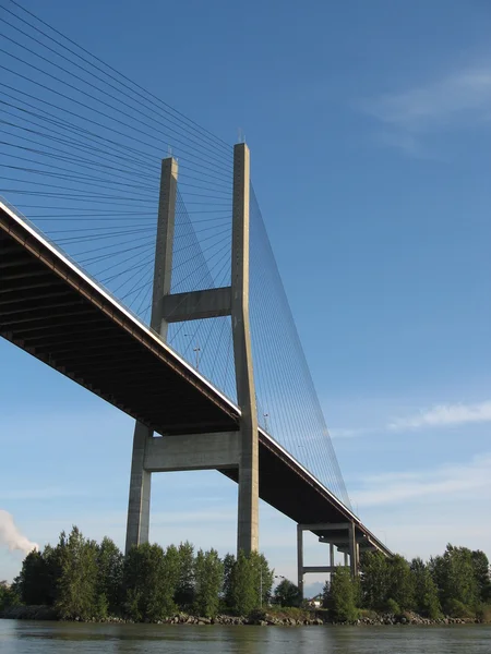Jembatan suspensi Stok Foto