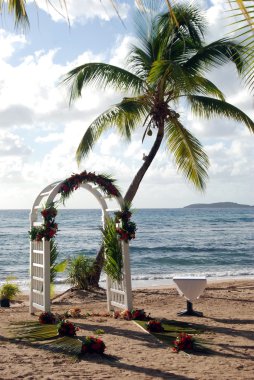 Beach Wedding clipart