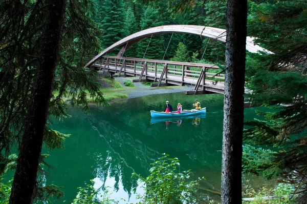 Brücke im Wald — Stockfoto