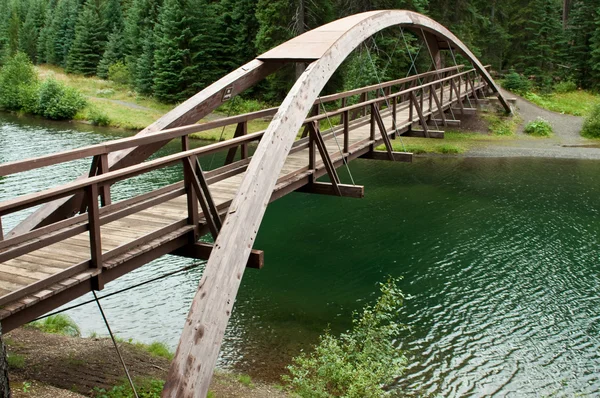 Γέφυρα στο δάσος — Φωτογραφία Αρχείου