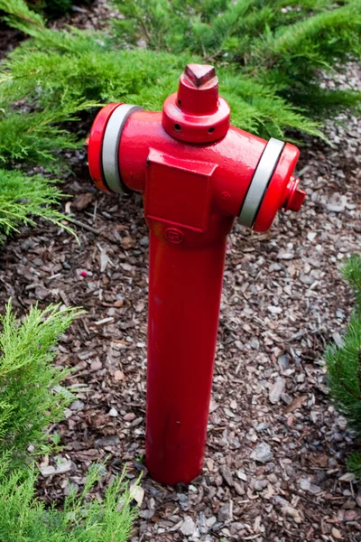 stock image Water Hydrant