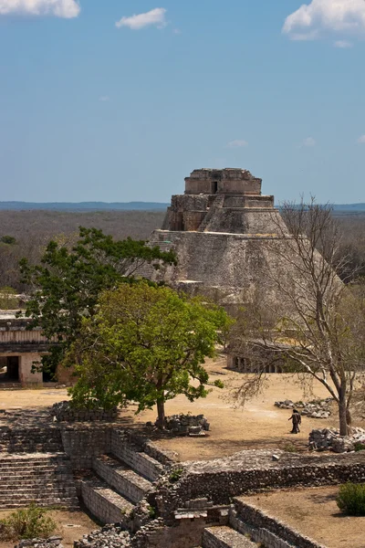 Meksika Uxmal tapınaklar — Stockfoto
