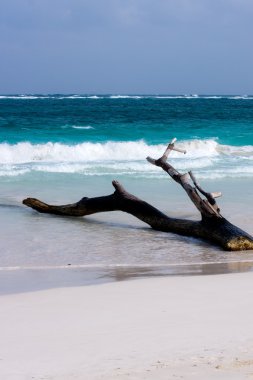 yucatan içinde tulum beach