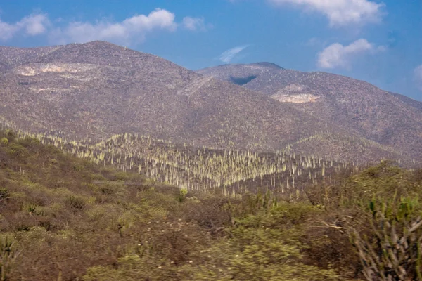 Mexiko berg — Stockfoto