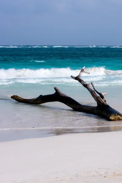 Praia de Tulum em Yucatan — Fotografia de Stock