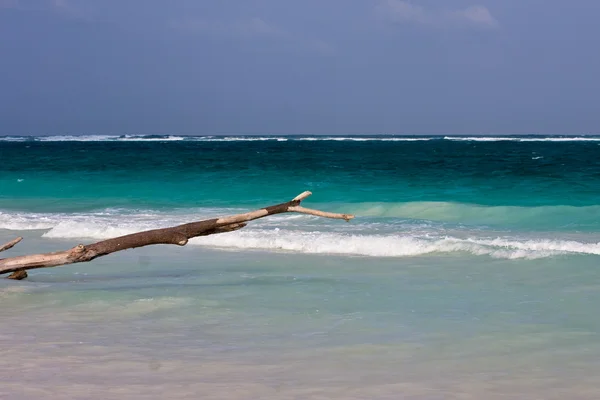 Tulum beach in yucatan — Stockfoto