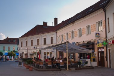 Trencin old town clipart