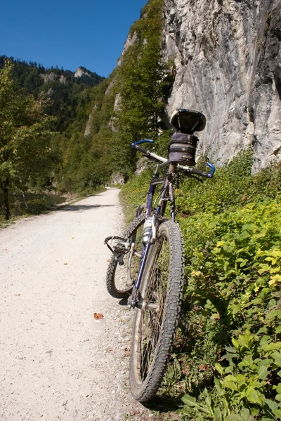 Горный велосипед в польских горах — стоковое фото