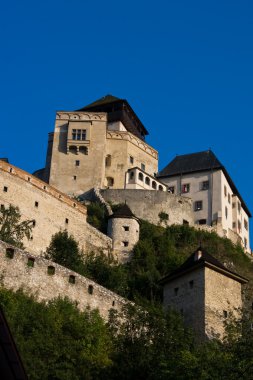 Trencin castle clipart