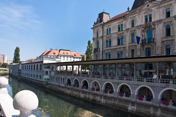 Staré město Ljubljana — Stock fotografie