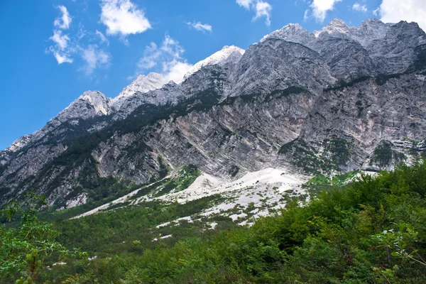 Slovenië bergen in de zomer — Stockfoto