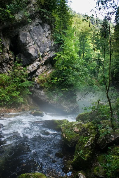 在斯洛文尼亚 vintgar 峡谷 — 图库照片