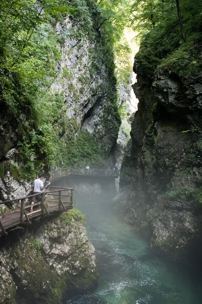 Desfiladeiro de Vintgar na Eslovénia — Fotografia de Stock
