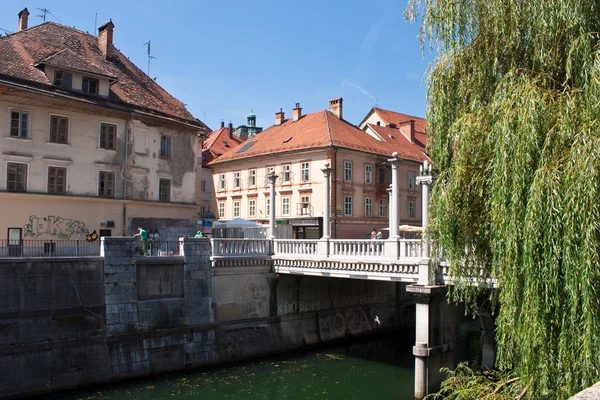 Ljubljanas gamla stan Stockbild