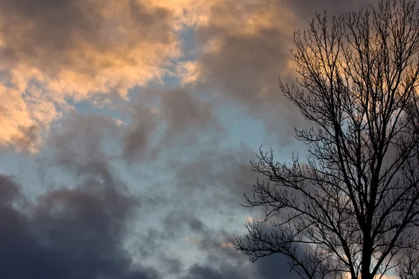 stock image Amazing sky