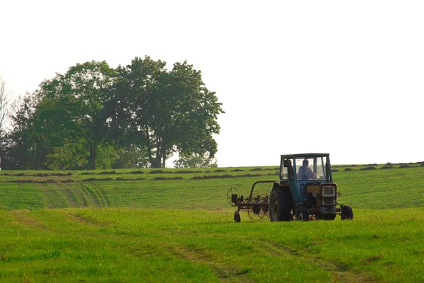 Traktor på fältet Stockfoto