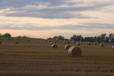 Stack of hay clipart