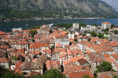 Kotor Körfezi