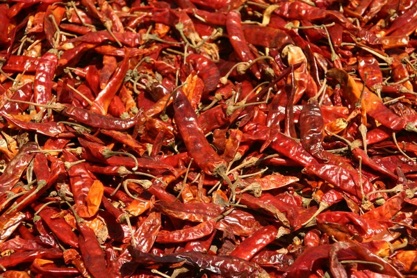 stock image Red chilli