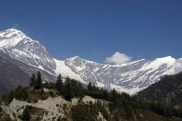 安纳布尔纳跋涉在喜马拉雅山 — 图库照片