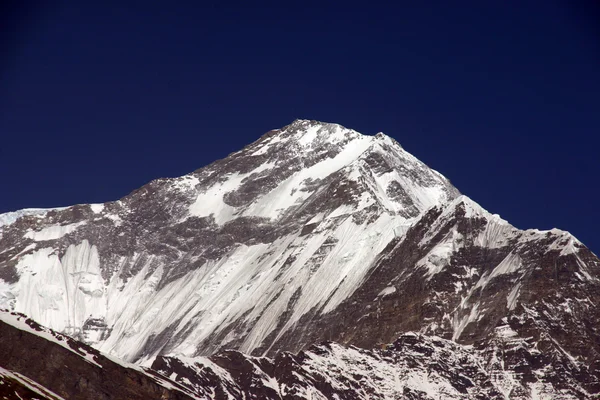 安纳布尔纳跋涉在喜马拉雅山 — 图库照片