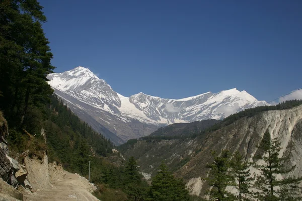 Annapurna Trek in Himalaya — Stock Photo, Image