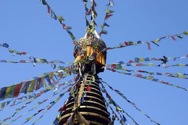 Népal Katmandou Stupa — Photo